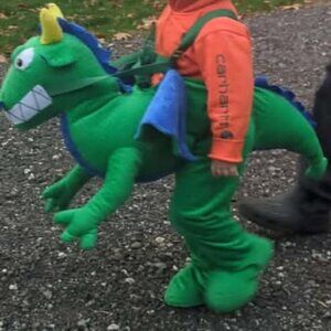 2t/3t dragon costume